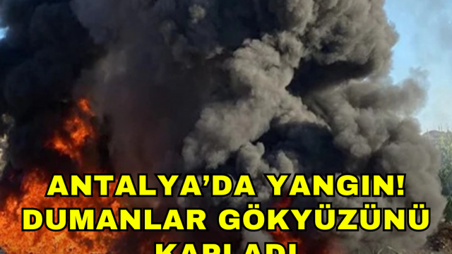 Antalya’da yangın! Dumanlar gökyüzünü kapladı