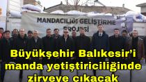Büyükşehir Balıkesir'i manda yetiştiriciliğinde zirveye çıkacak - haberi