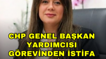 CHP Genel Başkan Yardımcısı Görevinden İstifa Etti! - haberi