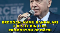 Erdoğan, Kamu bankaları 8 ila 12 bin lira promosyon ödemesi yapacak - haberi