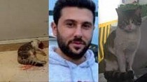 Eros isimli kediyi vahşice öldüren İbrahim Keloğlan adli kontrol şartıyla serbest bırakıldı - haberi
