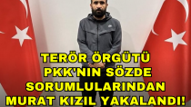 Terör örgütü PKK'nın sözde sorumlularından Murat Kızıl, MİT ve emniyetin ortak operasyonuyla yakalandı! - haberi