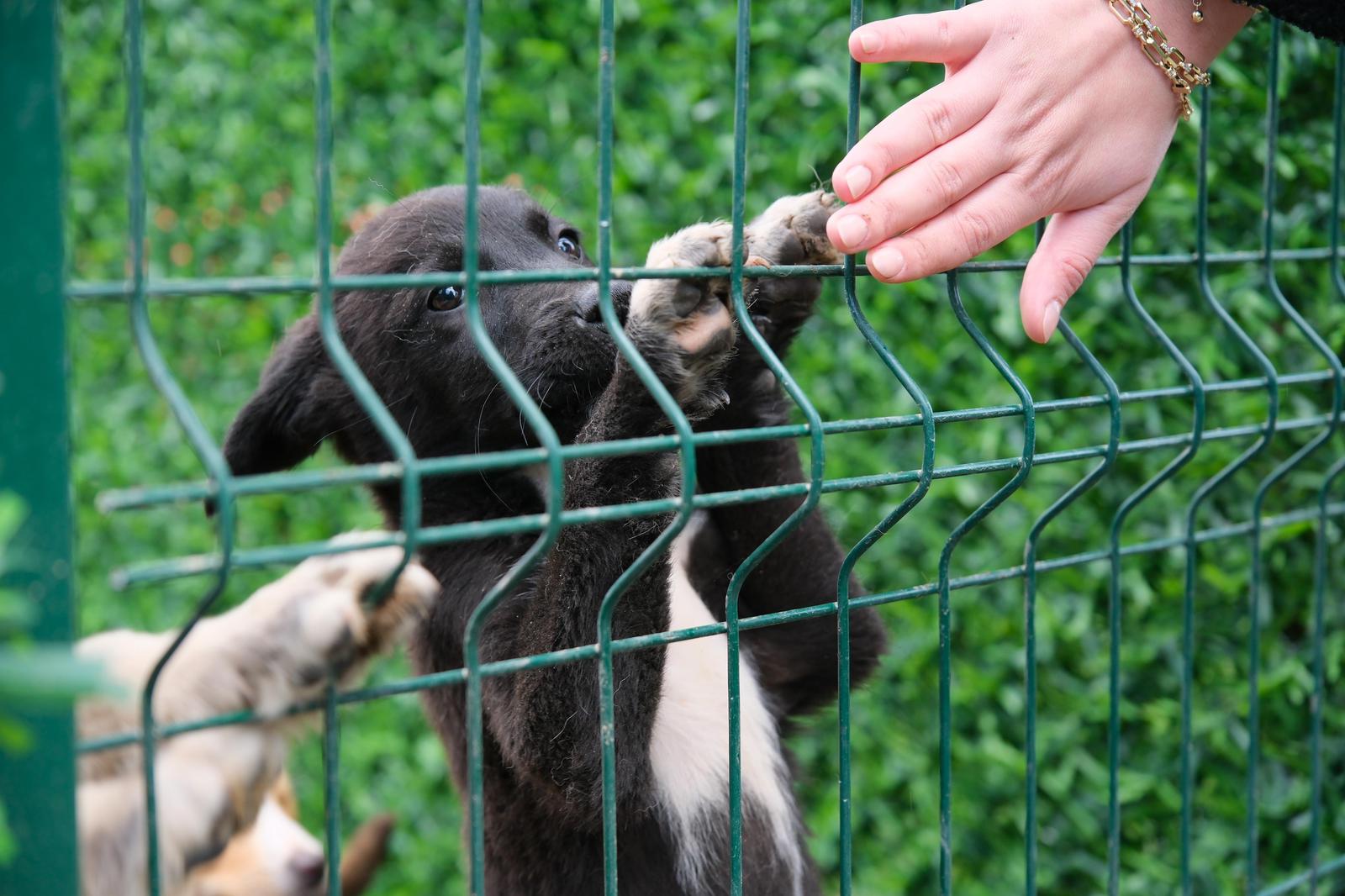 ALTIEYLÜL’DE CAN DOSTLARA BÜYÜK DESTEK